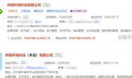 二八最新爆料,揭秘行业巨头背后的惊人内幕